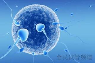 兰州手术三代试管,哪里便宜,兰州手术三代试管,哪家医院好