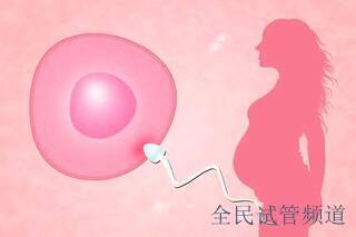 无痛三代试管婴儿的详细过程是怎样的