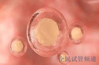 云南三代试管揭秘成功率更高的医院