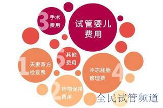 泰国试管三代费用预算解析,成功率与花费全面分析