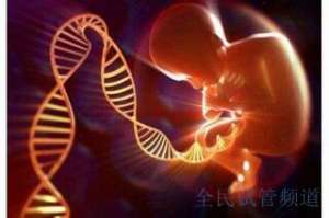 北京助孕机构前十排名，助孕选择不再迷茫