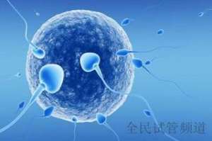 泰国三代试管私立医院实力比拼,哪家技术更胜一筹