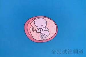 试管婴儿成功率解析，染色体异常影响大