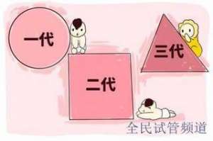 泰国试管费用差异大，医院方案影响预算