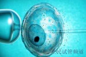 胎停后能否试管助孕,试管婴儿解决胎停问题