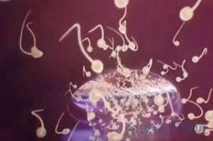 试管婴儿费用解析,两位女性需准备多少预算