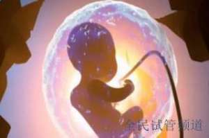 石家庄三代试管费用详解,具体价格是多少