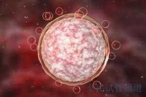 2025上海试管婴儿公司选择指南，重点考察技术与服务  上海试管助孕机构推荐，技术与口碑是关键