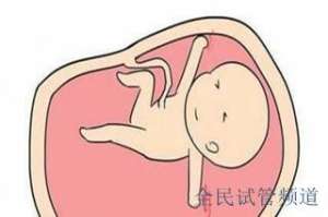 合肥三代试管费用明细，今年价格是否上涨