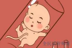 2025泰国试管费用全解析，助你圆梦无忧,费用明细一目了然