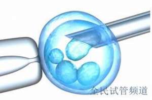 泰国试管医院联系方式查询，专业助孕机构推荐