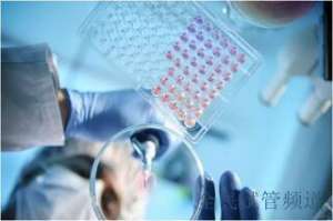 泰国试管收费陷阱揭秘,避坑指南助你省钱