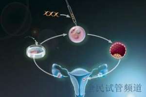 泰国试管费用解析,三代试管必看指南