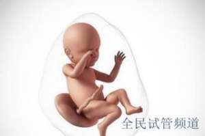 泰国试管费用明细,助你精准预算开支