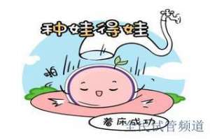 泰国试管费用明细，三**预算指南