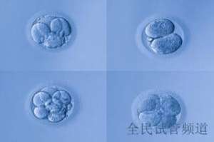 泰国助孕机构三强推荐，2025热门选择  专业助孕服务，泰国三大知名公司