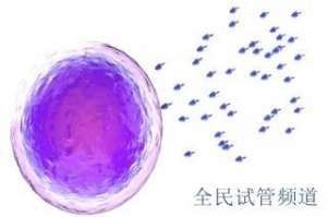 哈萨克斯坦绝经女性试管成功率,权威医院揭秘真相