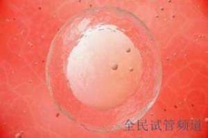 2024泰国试管费用预算，你准备好了吗