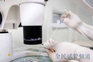 温州试管三代费用明细，助孕花费清单一览