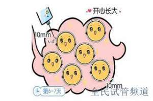 2025泰国试管费用解析,影响成功率的关键因素