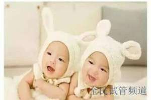 江苏单身女性试管费用,试管婴儿价格参考