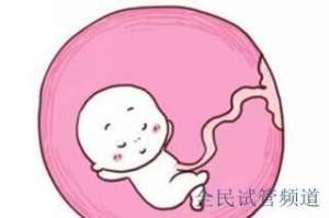 武汉三代试管费用明细,一次需多少钱