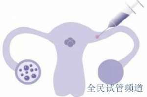 泰国试管医院排名前六，优质选择助您好孕