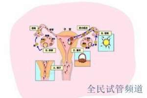 武汉试管医院排名前十，三代试管成功率都很高