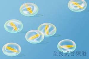 2025泰国试管费用明细, 助你轻松预算不迷茫