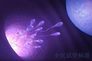 石家庄三代试管费用详解,全程预算多少