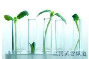 2024卵泡少试管成功率高吗,速看最新数据