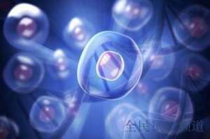 玉溪三代试管费用曝光,你知道要花多少钱吗