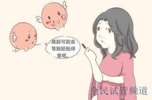 泰国试管费用解析,成功率与价格详解