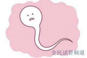 泰国试管费用全攻略，省钱省心又高效,三代试管费用明细解析