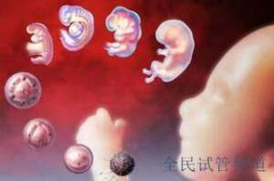 格鲁吉亚试管医院成功率对比，哪家助孕效果最佳