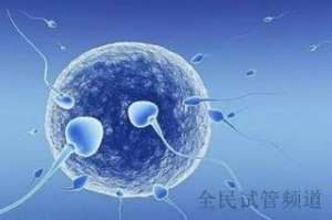 广州试管流程全解析，专业指导助好孕