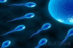 试管婴儿三大关键步骤解析，助您轻松了解全过程