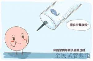 泰国试管三代费用解析，关键环节影响价格