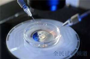 多囊肾试管成功率高吗,生育希望与挑战并存