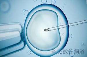 2025郑州试管三代医院排名,这几家机构实力领先  郑州试管三代技术强,这几家医院口碑比较好