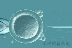 泰国试管费用解析,关注重点一览