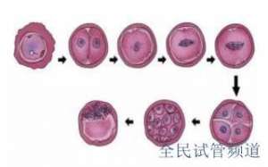 泰国助孕机构排名最新，优质选择推荐