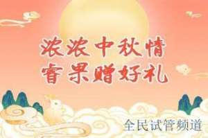 格鲁吉亚试管费用解析，价格构成与优势详解