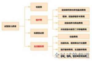 泰国知名助孕机构推荐，优质选择不容错过