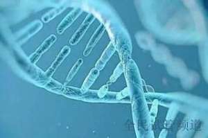 2025昆明助孕机构榜单，优质服务尽在榜中