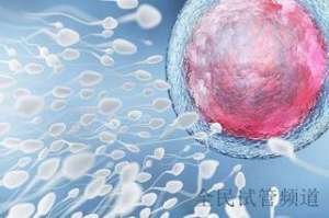 2025泰国试管机构排名揭晓，未婚人群优选榜单出炉