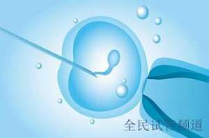 泰国单身试管机构推荐，优质选择助您好孕
