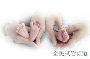 泰国单身试管机构前十排名，权威推荐助您好孕,精选优质医院，圆梦无忧