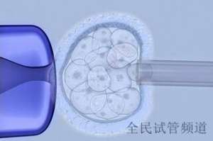 泰国试管费用全解析,咨询到移植详细清单