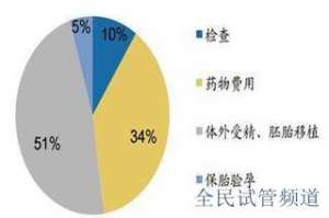 2025泰国试管费用全解析，助你轻松备孕